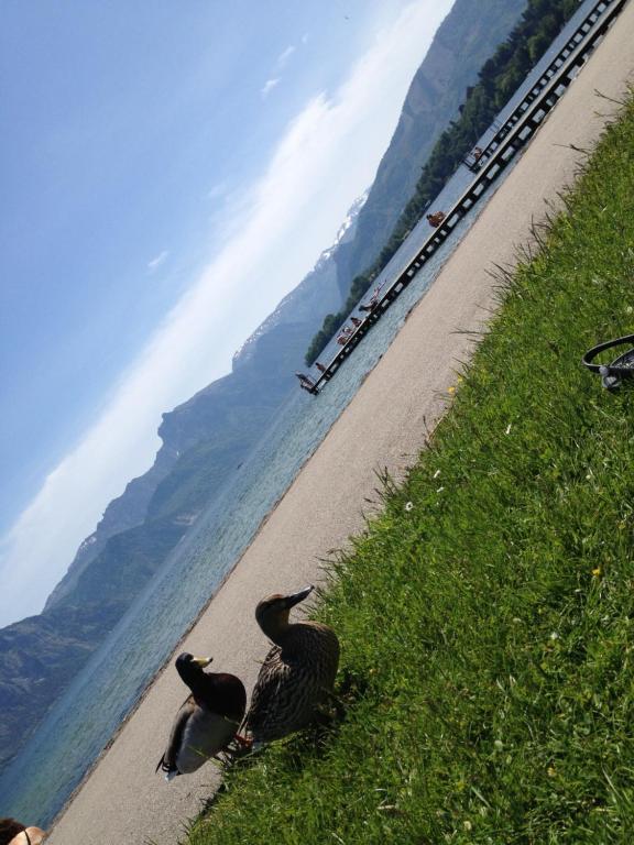 Apartment Parkvilla Traunsee Altmünster Buitenkant foto
