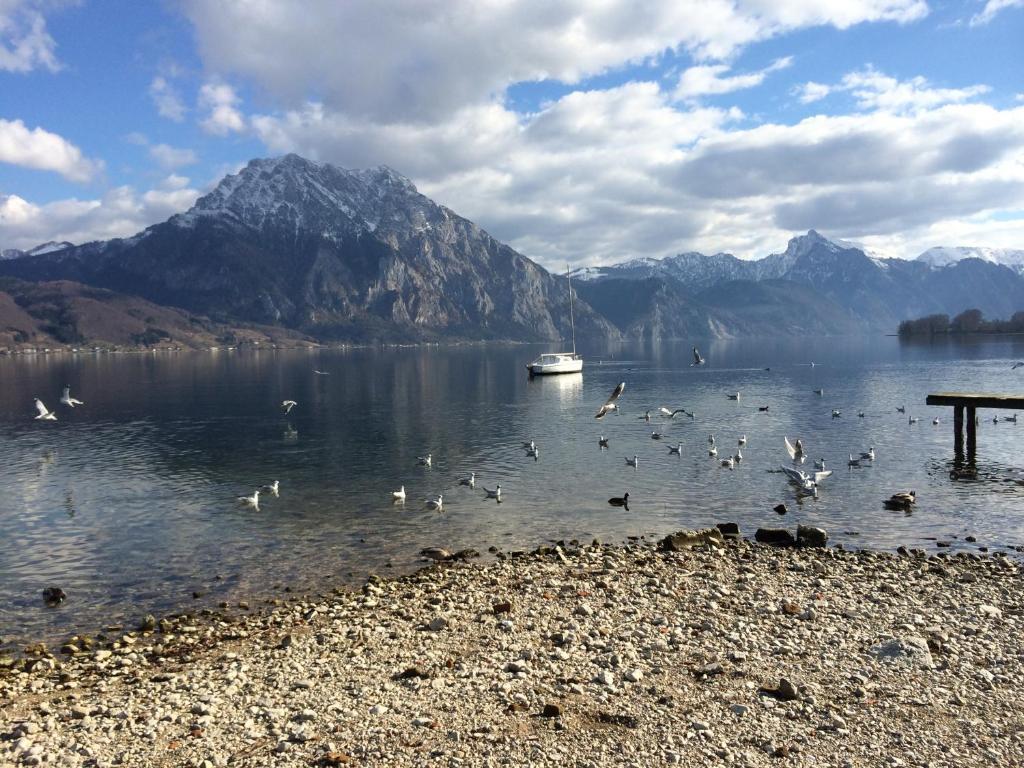 Apartment Parkvilla Traunsee Altmünster Buitenkant foto