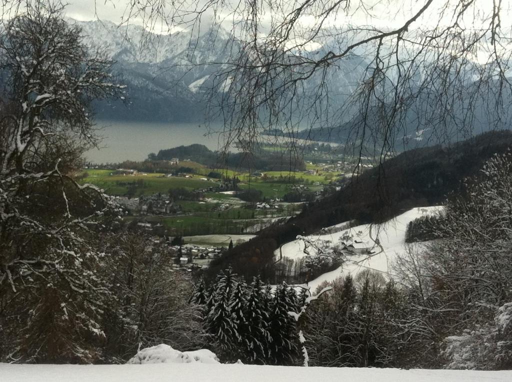 Apartment Parkvilla Traunsee Altmünster Buitenkant foto